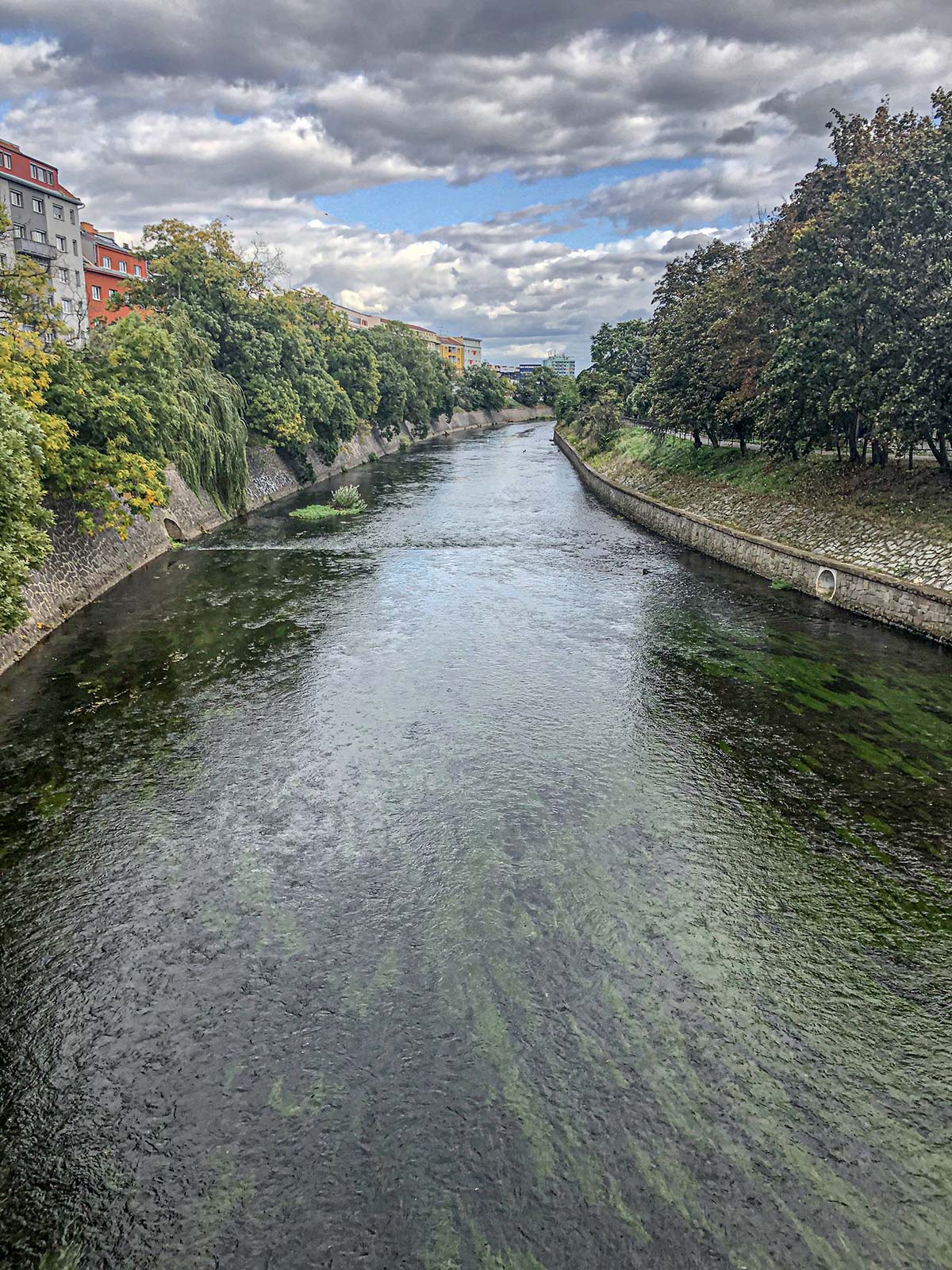 Річка Свратка у Брно