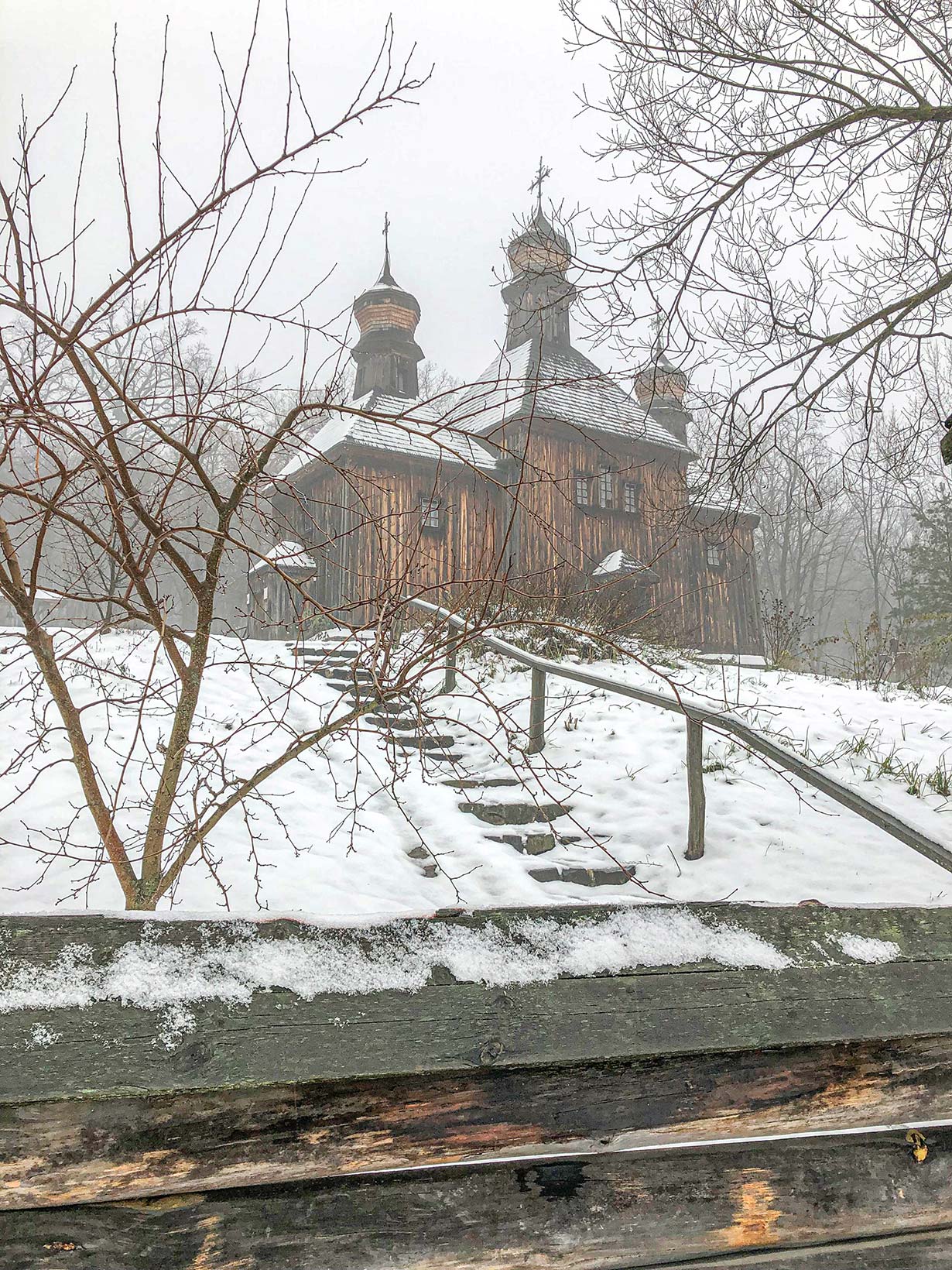 Зимова прогулянка до музею народної архітектури «Пирогів»