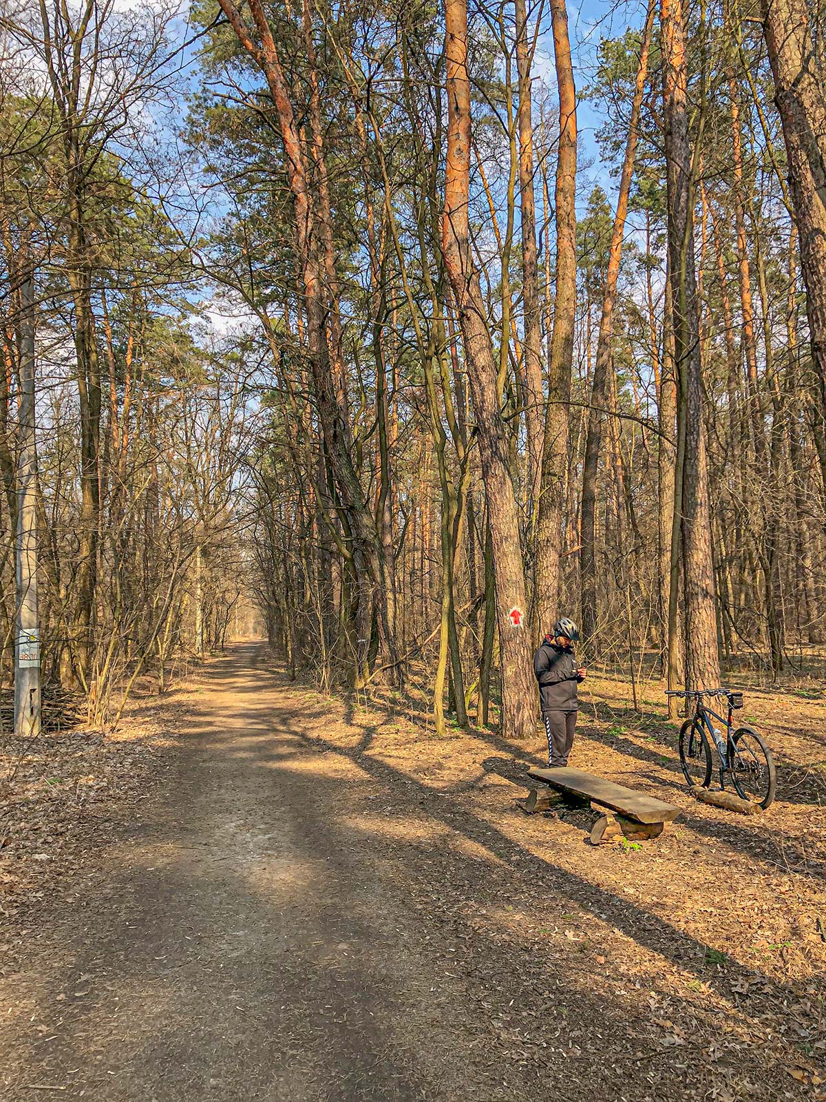 Велопокатушка у парк Партизанської слави та Микільський ліс